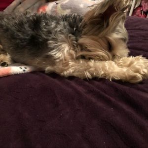 Meet your Posher, Kennedy